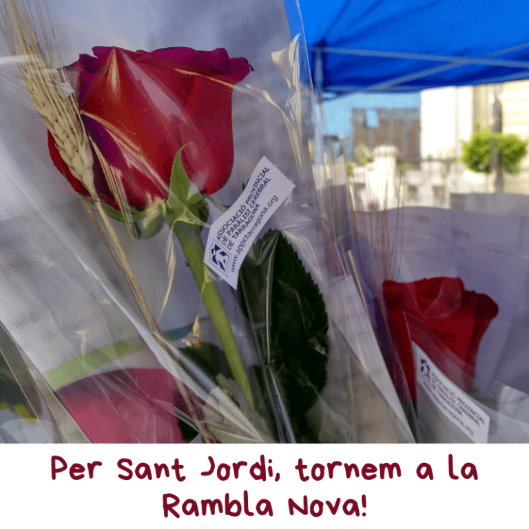 Imagen de una rosa, con el título: ¡Por Sant Jordi, volvemos a la Rambla Nova!