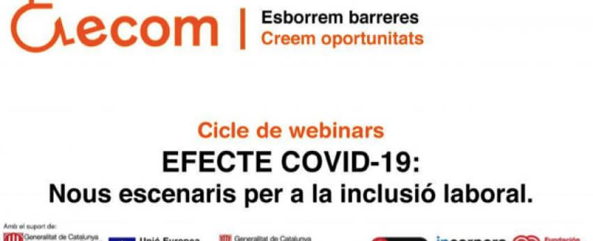 Imatge del cartell del webinar.